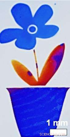 Scientists Harness Beetle-Inspired Nanoparticles for Commercial Color-Changing Applications