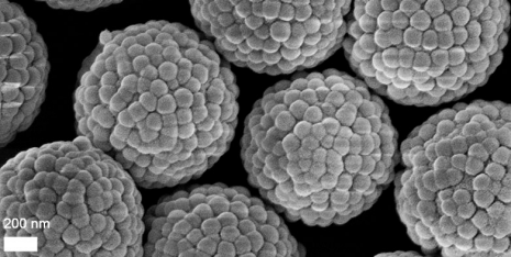 Universal Stabilisation of Silica Microparticles by ETH Researchers