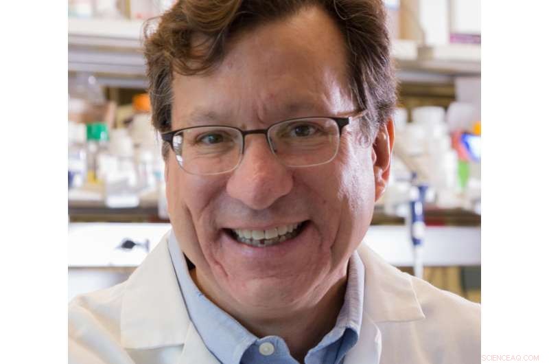 Optimized CRISPR‑Cpf1 Harnessed by Firefly Gene Enables Precise Human Genome Editing