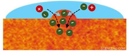 Bridging Biology and Electronics: Rigid Yet Flexible Design for Bioelectronic Integration