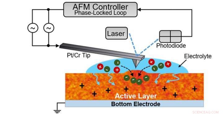 Bridging Biology and Electronics: Rigid Yet Flexible Design for Bioelectronic Integration