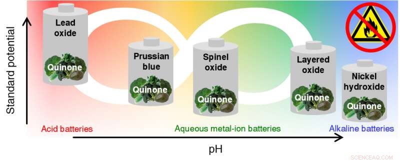 Cost-Effective Organic Anode Boosts Safety and Longevity of Batteries