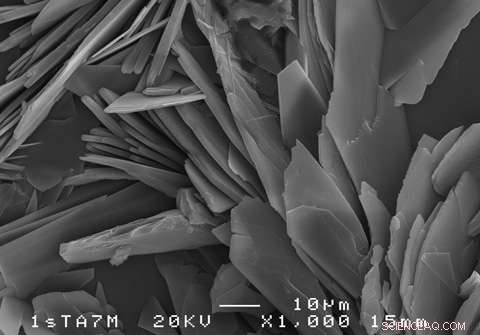 Magnesium Alloy Prostheses with Tunable Degradation Rates