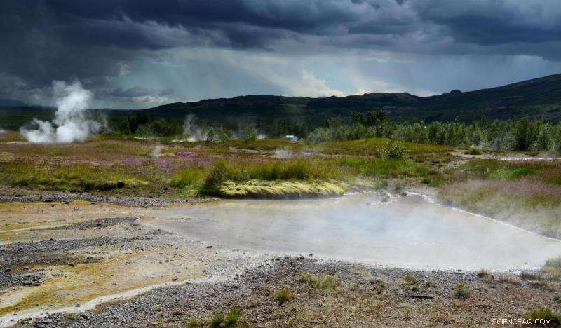 Hot‑Spring Bacteria Unlock Secrets of Cellular Metabolism