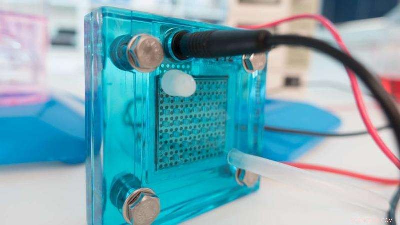 Proton Transport in Fuel Cells: Understanding Their Pathways