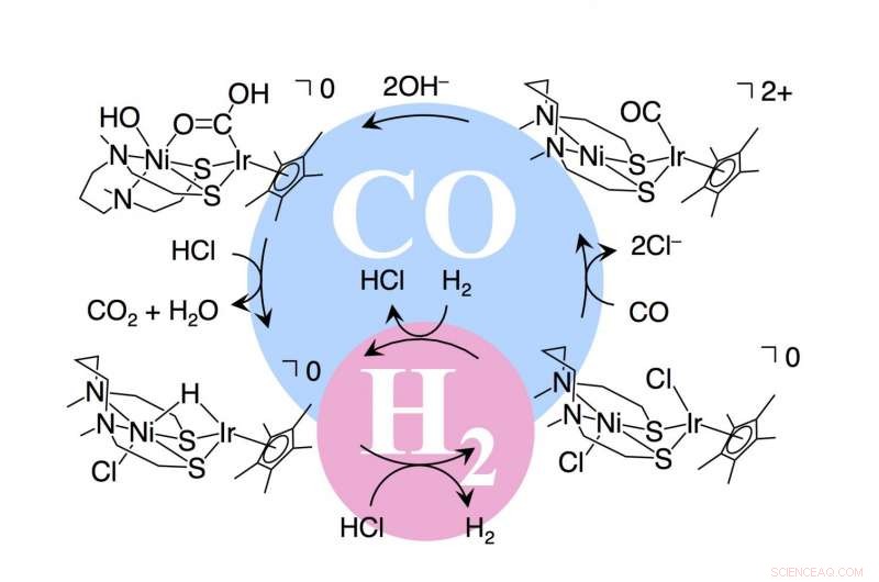 Advanced Multifunctional Catalyst Enhances Poison‑Resistant Performance in Hydrogen Fuel Cells