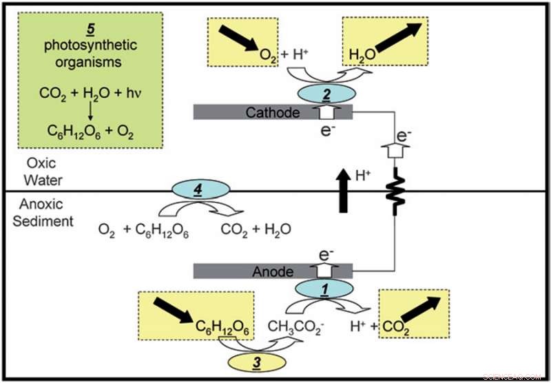 NRL Secures Patent for Innovative Solar Microbial Fuel Cell Technology