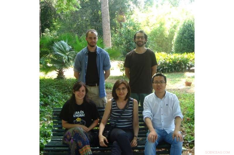 Engineered Enzyme Enables Precise Carbohydrate Synthesis for Medical Innovation