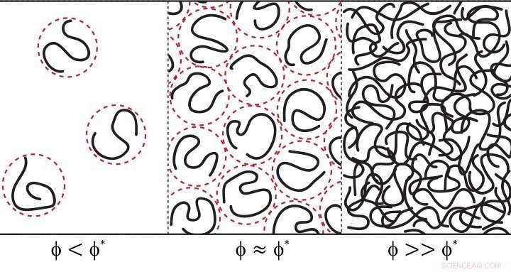 Unveiling Membraneless Organelles: Innovative Experimental & Theoretical Methods Reveal Cellular Secrets