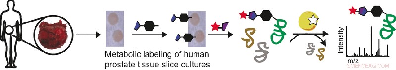 Glycans as Reliable Biomarkers for Cancer Detection