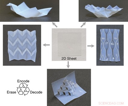 Programmable Self‑Foldable Nafion Sheets: Chemical Triggers Precise Origami Structures
