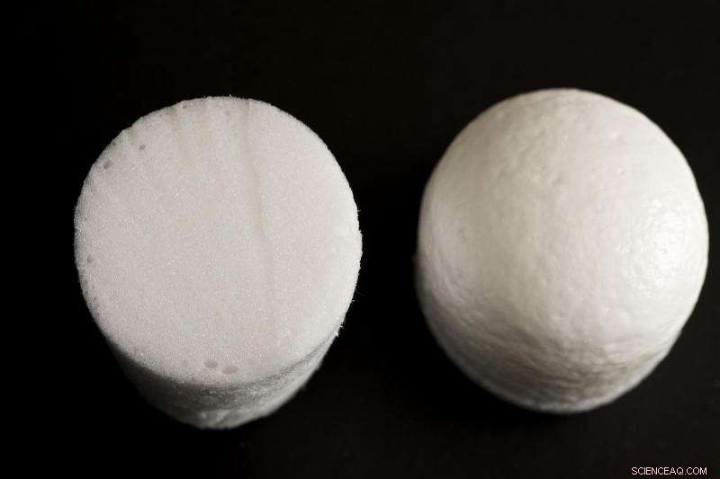 Revolutionary Pleural Cavity Repair: Precision Filling & Sealing Method