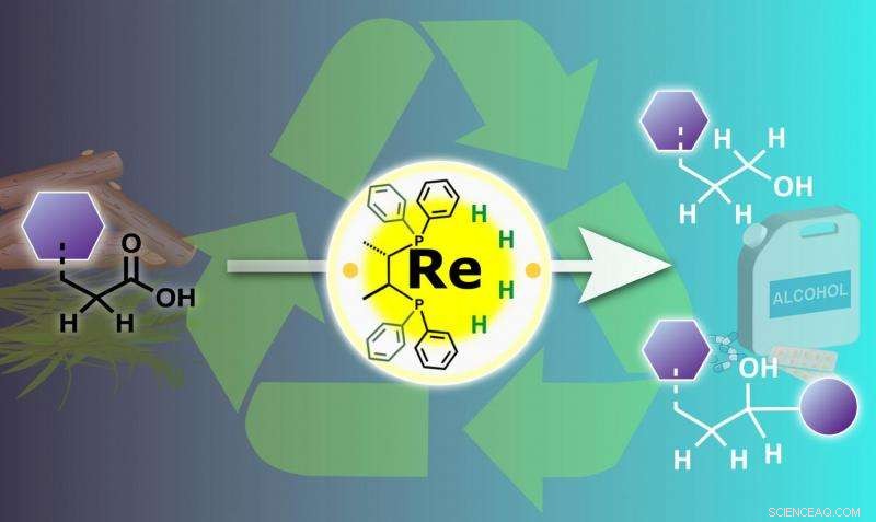 Nagoya Researchers Innovate Metal Catalysis for Sustainable Chemical Processes