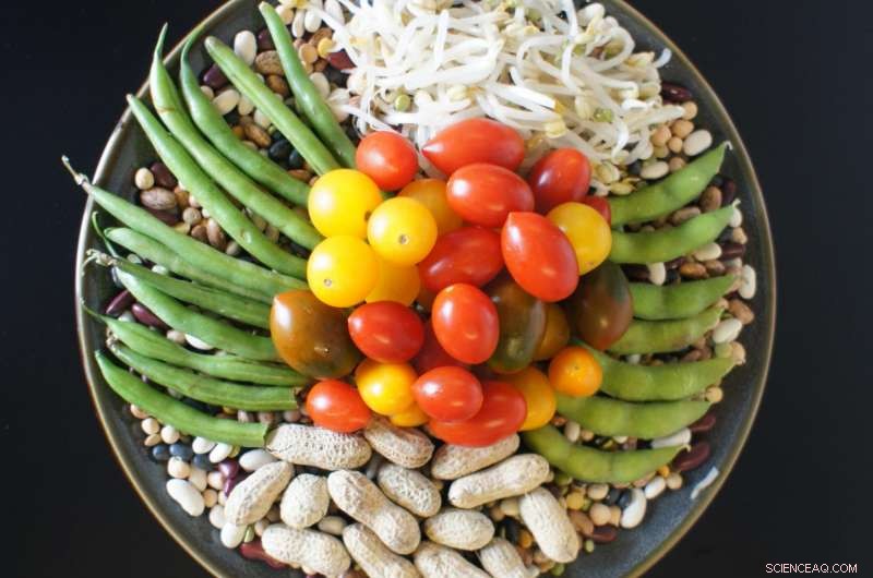 Scientists Observe Plants Altering a Key Enzyme, Revealing Dynamic Chemistry Previously Thought Immutable