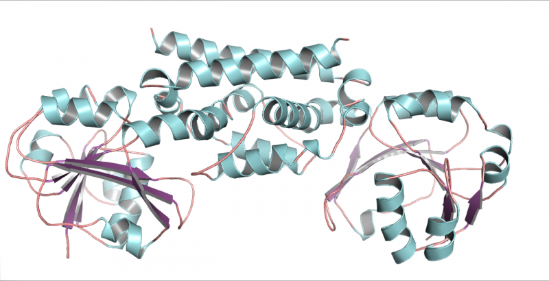 Scientists Observe Plants Altering a Key Enzyme, Revealing Dynamic Chemistry Previously Thought Immutable