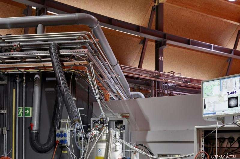 Transforming Plant Waste into Fuel & Chemicals: Sustainable Energy Solutions