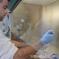 New Herbicides Derived from Antimalarial Drugs: A Breakthrough in Plant Protection