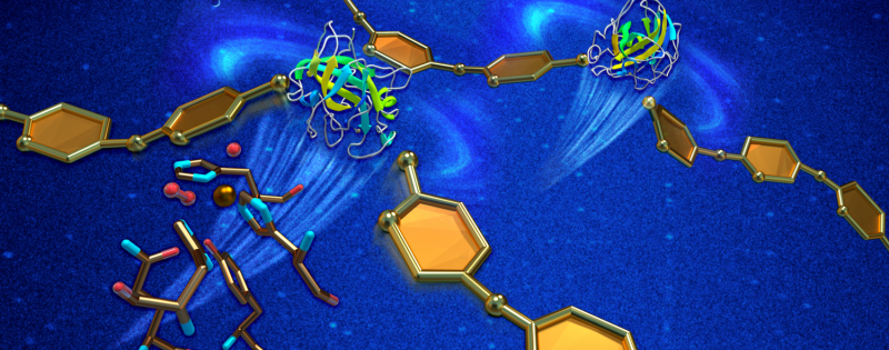Neutron Scattering Uncovers Enzyme Mechanisms to Enhance Biofuel Production