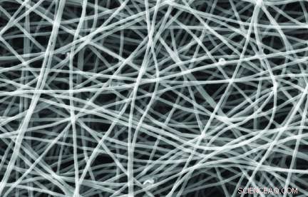 Bacteria-Enhanced Nanofiber Electrodes Efficiently Break Down Pollutants