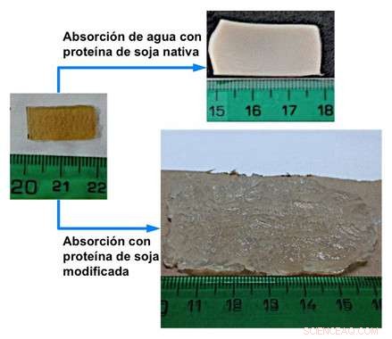 Soy Protein Bioplastic: 40× Weight Absorption, Fully Biodegradable