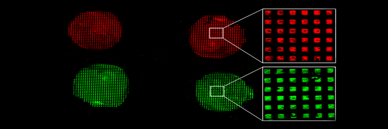Miniature Technology Offers Promising Advances in Disease Detection