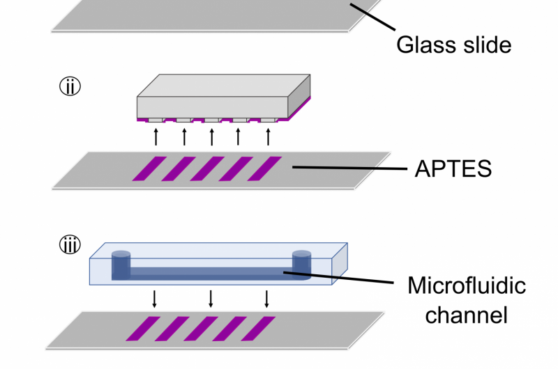 Miniature Technology Offers Promising Advances in Disease Detection