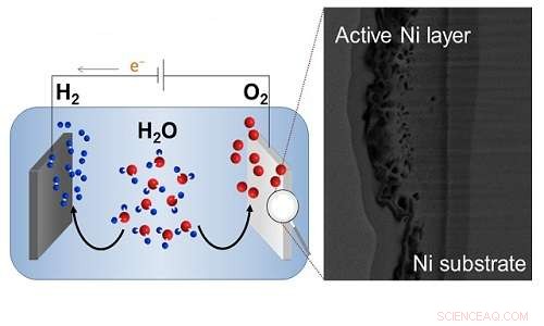 Cost‑Effective Water Splitting Powered by a Nickel Anode