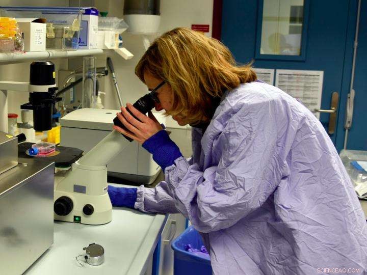 New Discovery Paves Way for Effective Treatment of Melanin-Linked Skin Conditions