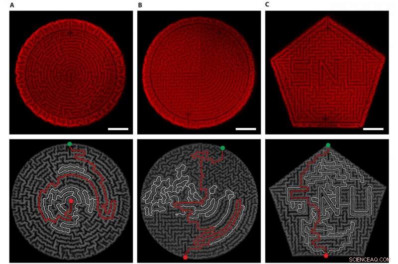 Creating Miniature Mazes via Surface Wrinkling of Tiny Particles