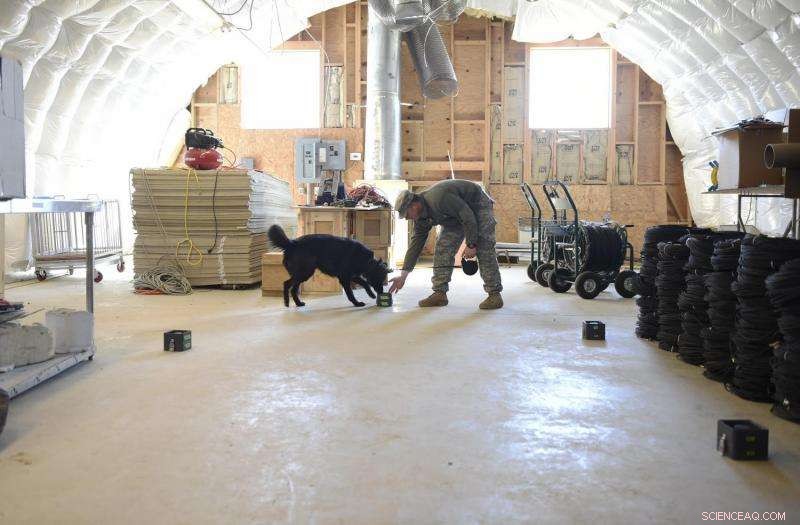 Innovative Odor‑Mixing Device Trains Police Dogs for Smell Detection