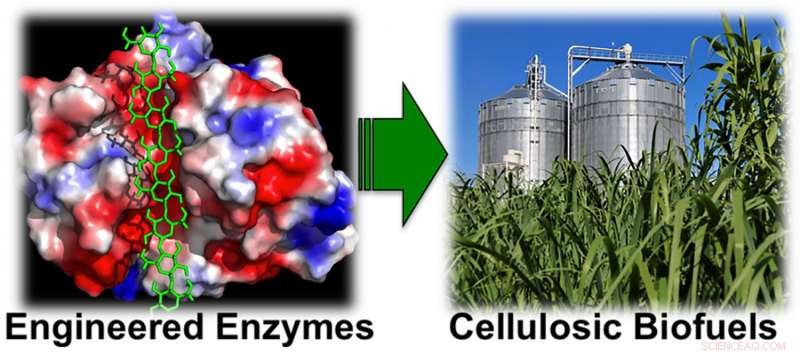 Lowering the Cost of Ethanol, Biofuels, and Gasoline Through Innovative Enzyme Technology