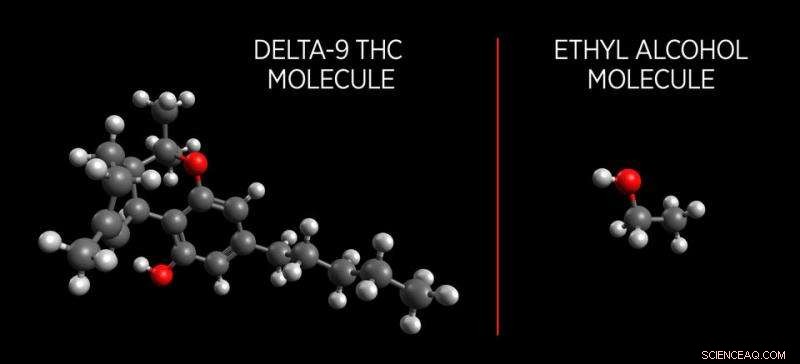 Researchers Pioneer Reliable Marijuana Breathalyzer Technology
