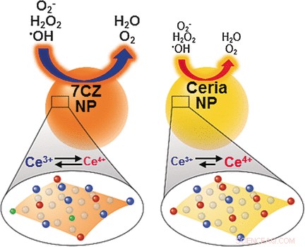 Ceria‑Zirconia Nanoparticles: Powerful Multi‑Antioxidants for Sepsis Treatment