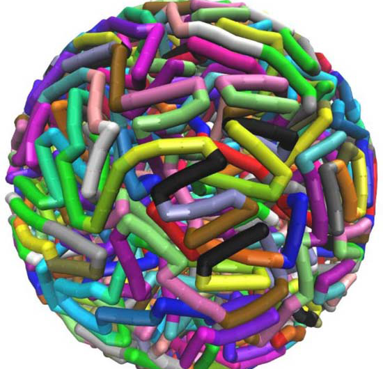 Scientists Reveal DNA Folding Secrets with Supercomputer Simulations