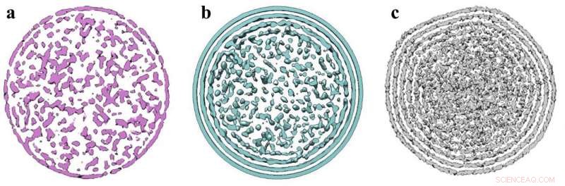 Scientists Reveal DNA Folding Secrets with Supercomputer Simulations