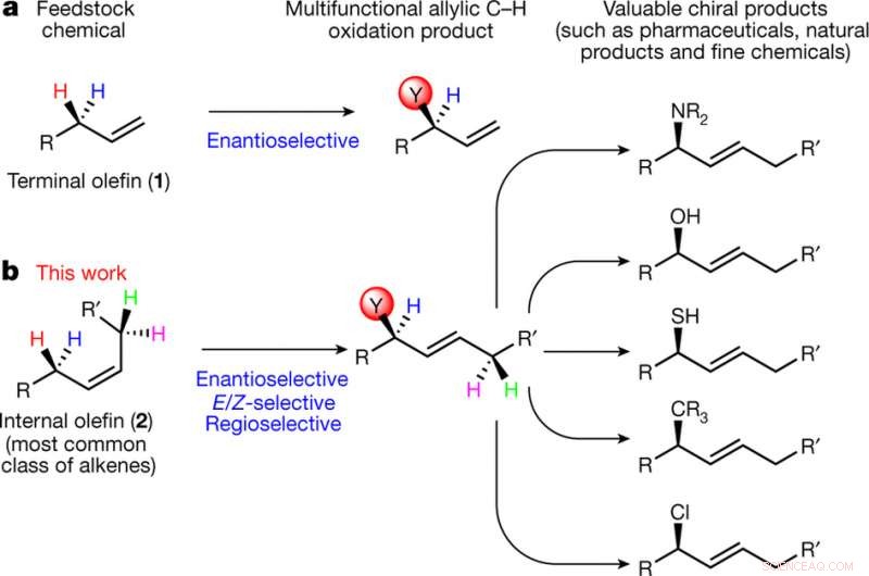 Innovative Chemical Reaction Could Accelerate Drug Development