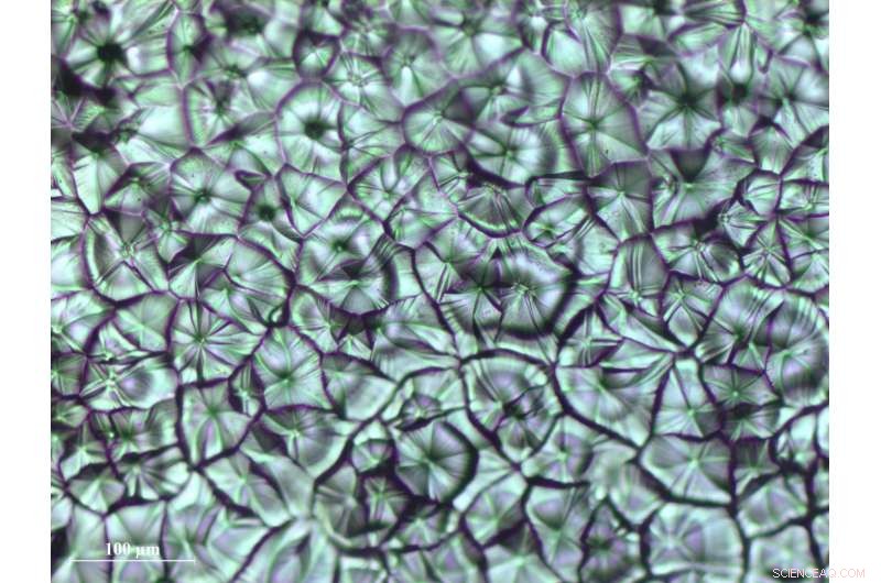 Meniscus-Assisted Printing Yields High-Efficiency Perovskite Solar Cells