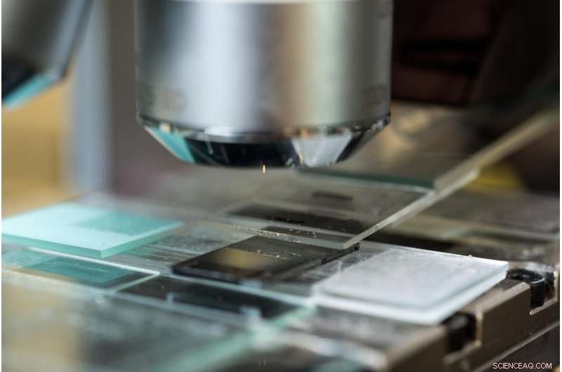 Meniscus-Assisted Printing Yields High-Efficiency Perovskite Solar Cells