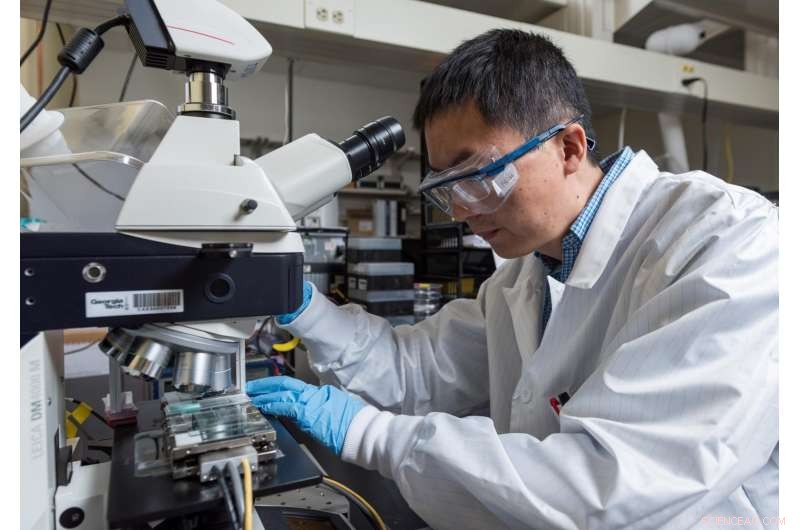Meniscus-Assisted Printing Yields High-Efficiency Perovskite Solar Cells