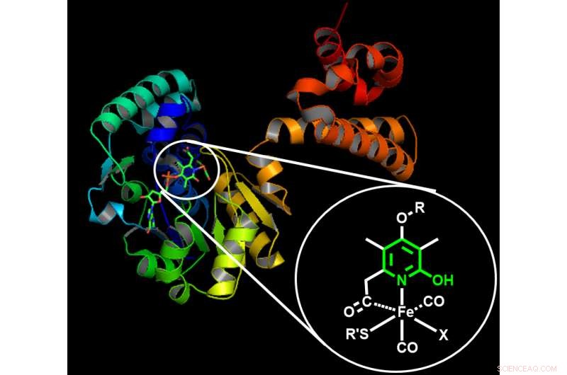 Manganese Catalyst Advances CO₂ Conversion to Value-Added Products