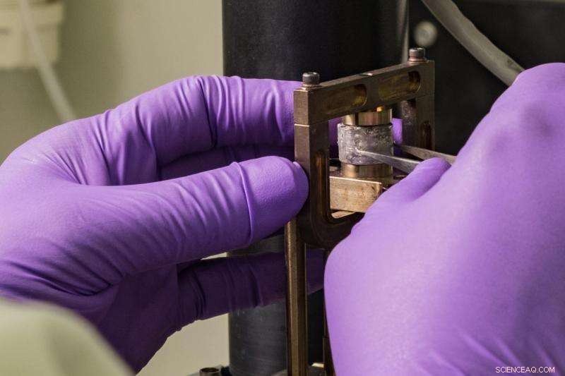 Rice University Breaks New Ground with Liquid‑Reinforced Silicone‑Gallium Composite Inspired by Human Spine