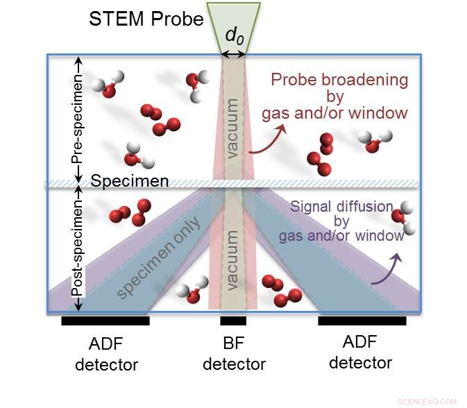 Optimizing Transmission Electron Microscopy Parameters for Accurate Catalyst Imaging