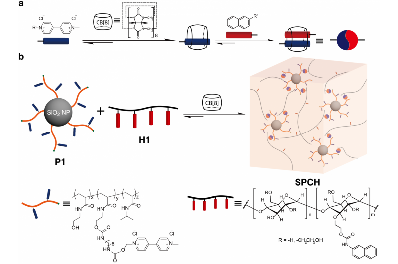 Cambridge Team Creates Eco‑Friendly Artificial Spider Silk Fibers
