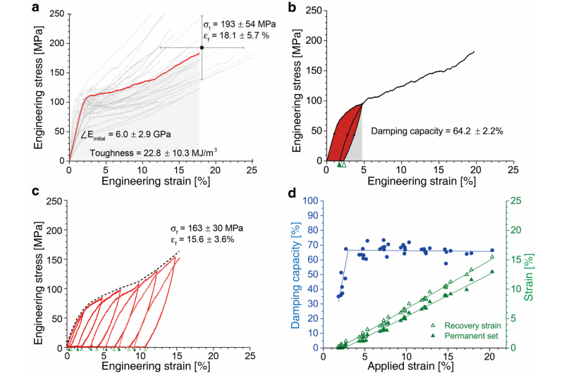 Cambridge Team Creates Eco‑Friendly Artificial Spider Silk Fibers