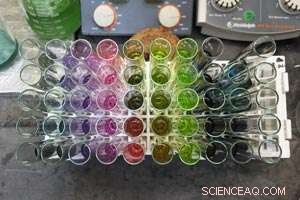 Innovative Molecular Scaffold Enhances Fluorescent Compounds for Advanced Biological Imaging