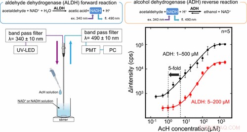 Exploring the Complex Aromas of Fine Wine