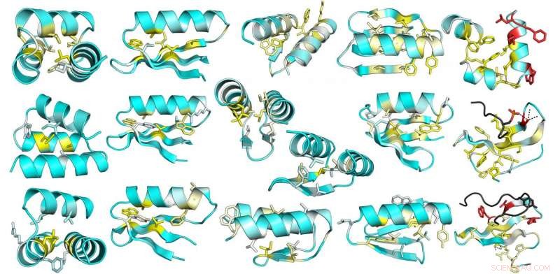 How Thousands of Design Feedbacks Are Revolutionizing Protein Engineering