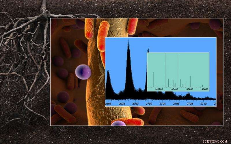 Decoding the Molecular Complexity of Cellular Machinery and Environmental Processes