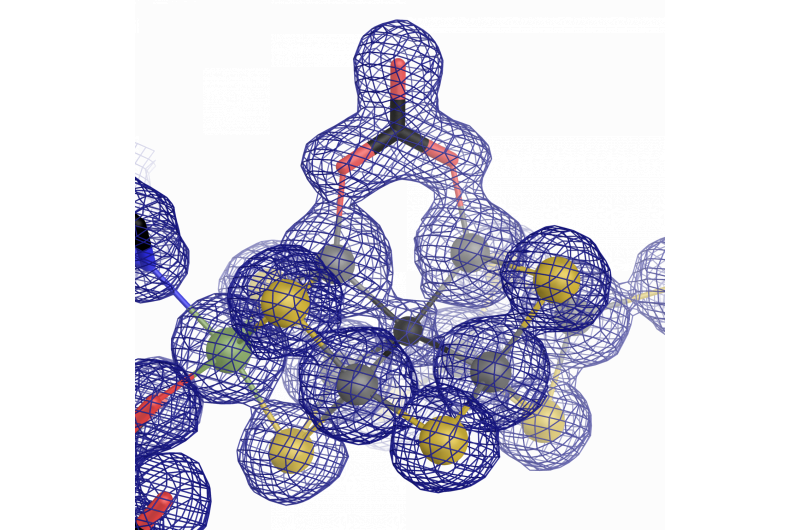 Progress Toward a Biological Alternative for Nitrogen Fixation