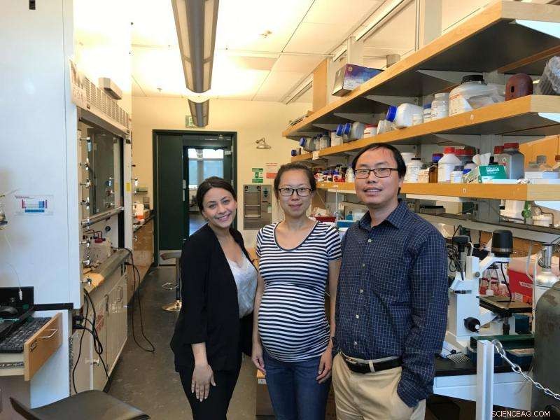 Biosensors Illuminate Cellular Signaling Pathways